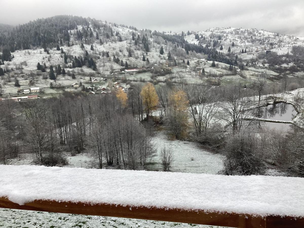 Les Chalets Bambi & Jacuzzi Privatif ラ・ブレス エクステリア 写真