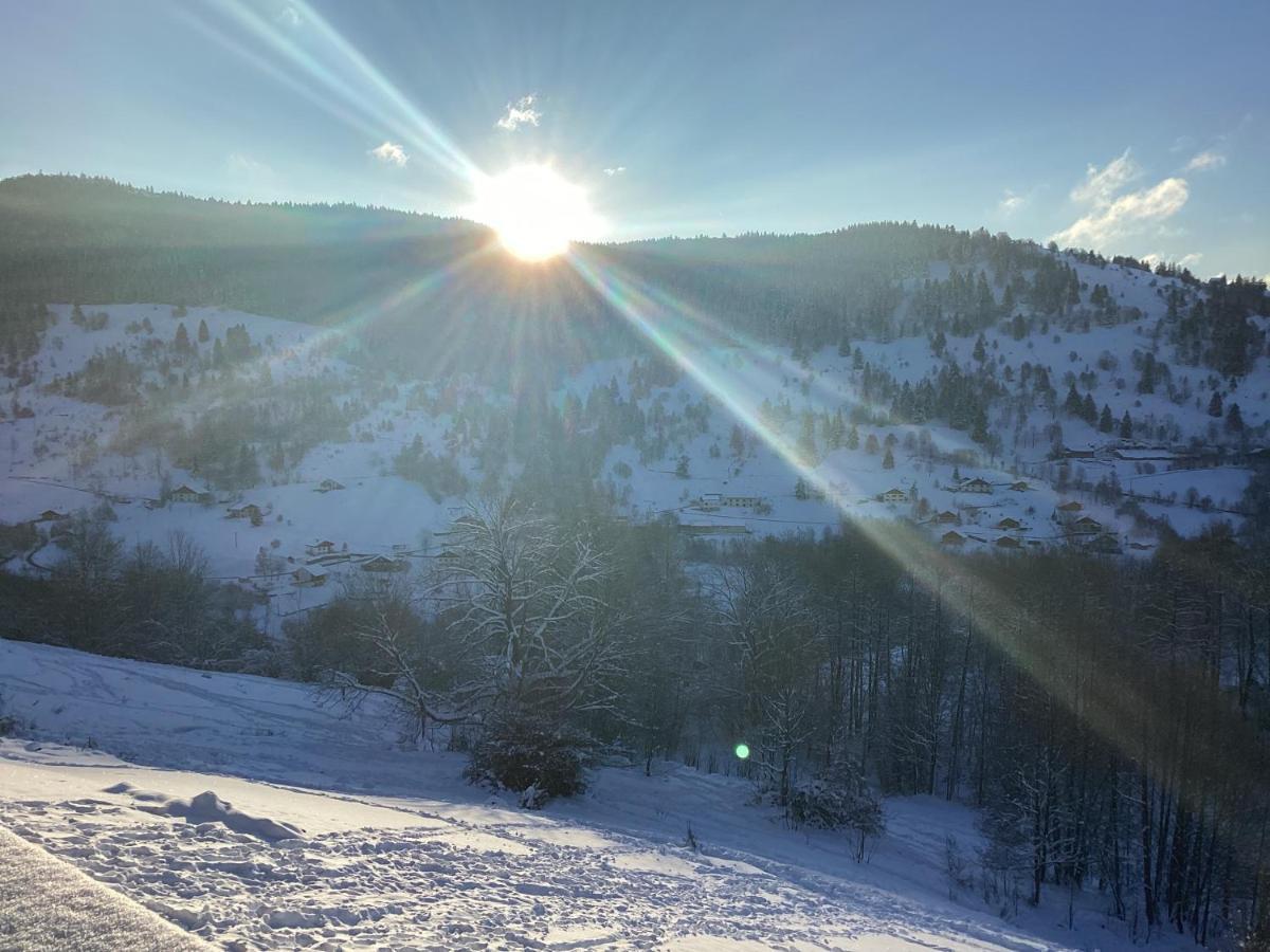 Les Chalets Bambi & Jacuzzi Privatif ラ・ブレス エクステリア 写真